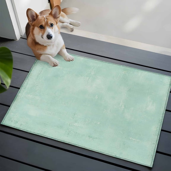 Seafoam Plaster Front Door Rugs 2x3ft Rustic Mint Green Timber Scratch Celadon Texture Washable Rug, Non Slip Indoor Carpet Absorbent Floor Mat for Living Room Bedroom Dining Room