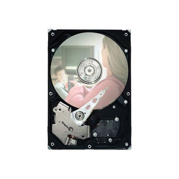 Seagate DB35 Series ST3300831SCE - Hard drive - 300 GB - internal - 3.5" - SATA 1.5Gb/s - 7200 rpm - buffer: 8 MB