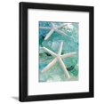 thumbnail image 1 of Seaglass 1, Animals Framed Art Print Wall Art by Alan Blaustein, 1 of 6