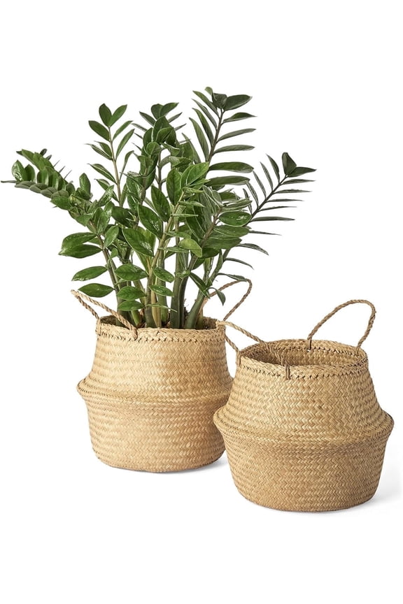 Seagrass Belly Basket, NOGIS Set of 2 Woven Plant Pot Holder Handmade Home Decor for Storage Plants Picnic Grocery Medium (Medium)
