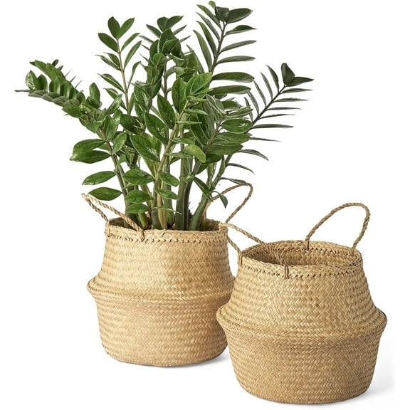 Seagrass Belly Basket, NOGIS Set of 2 Woven Plant Pot Holder Handmade Home Decor for Storage Plants Picnic Grocery Medium (Medium)