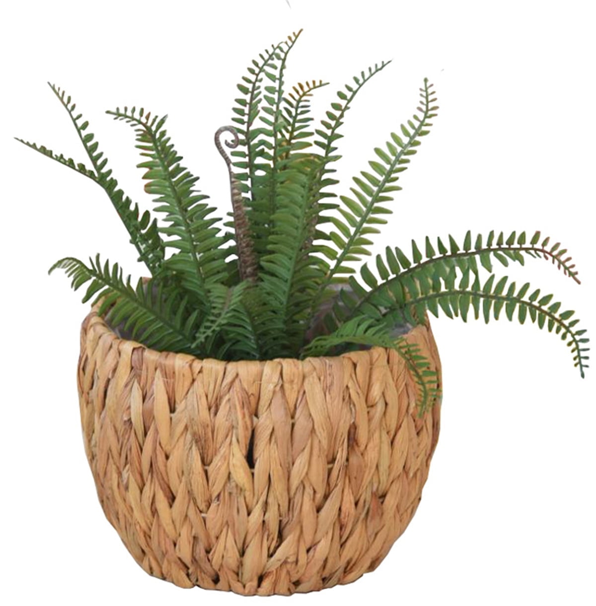 Curated visual reference: Fresh Look at Seagrass Planter Basket With Plastic Lining Bexikou Natural Planter