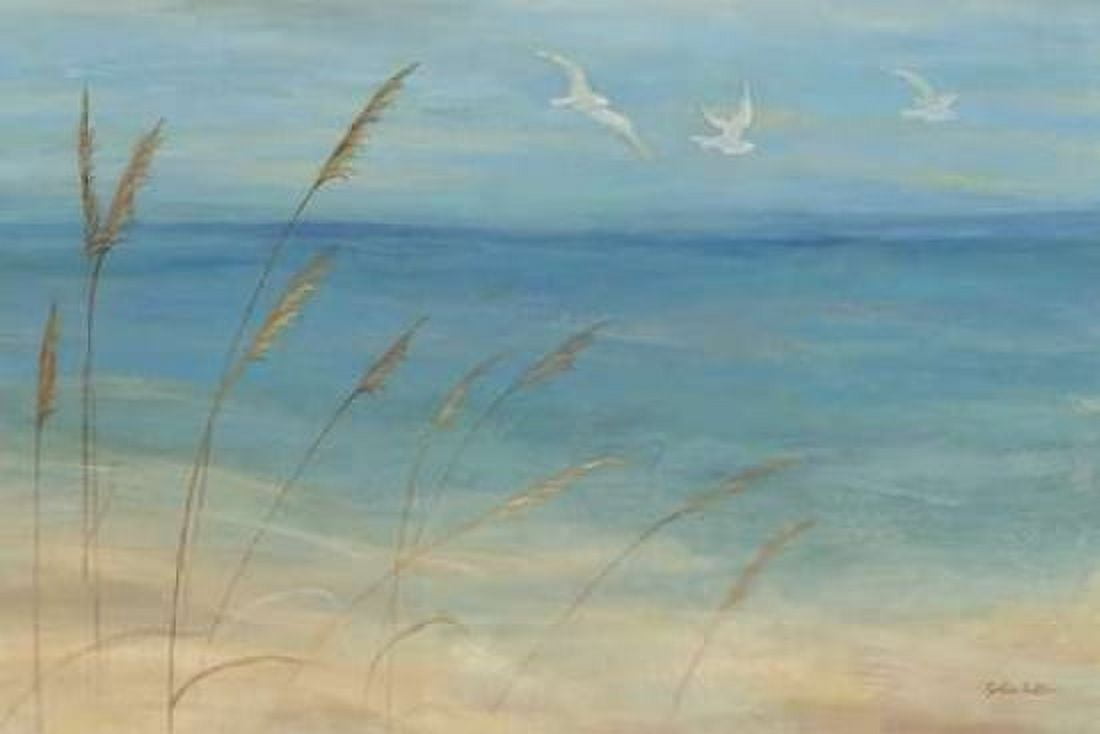 Seagrass Seagulls Canvas Art - Cynthia Coulter (24 x 36)