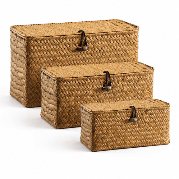 Seagrass Wicker Storage Basket with Lid, Decorative Storage Box for Bedroom, Bathroom, Closet and Office, Small Woven Organizer Bin for Toiletries, Stationery and Accessories