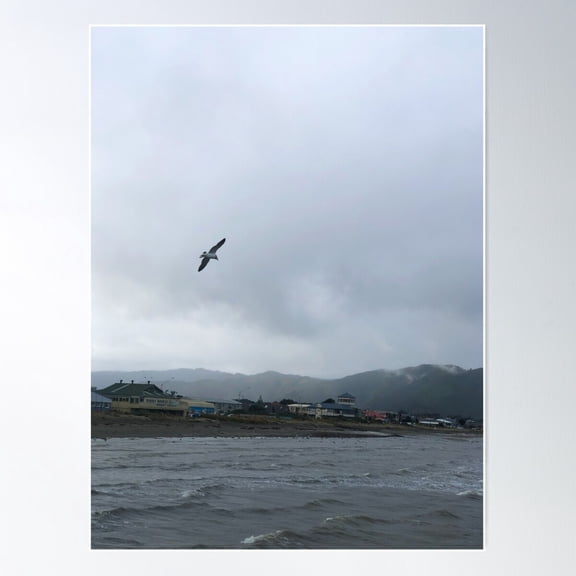 Seagull Above The Water At Petone Foreshore Poster Wall Art, Modern Wall Decor For Living Room Bedroom, 12x18 UNFRAMED