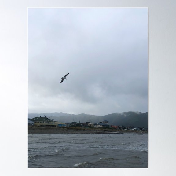 Seagull Above The Water At Petone Foreshore Poster Wall Art, Modern Wall Decor For Living Room Bedroom, 24x36 UNFRAMED