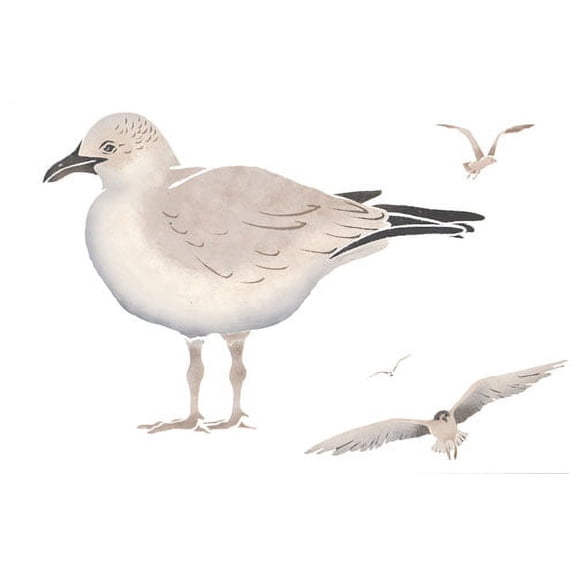 Seagull Birds Wall Stencil - DEE440 by DeeSigns