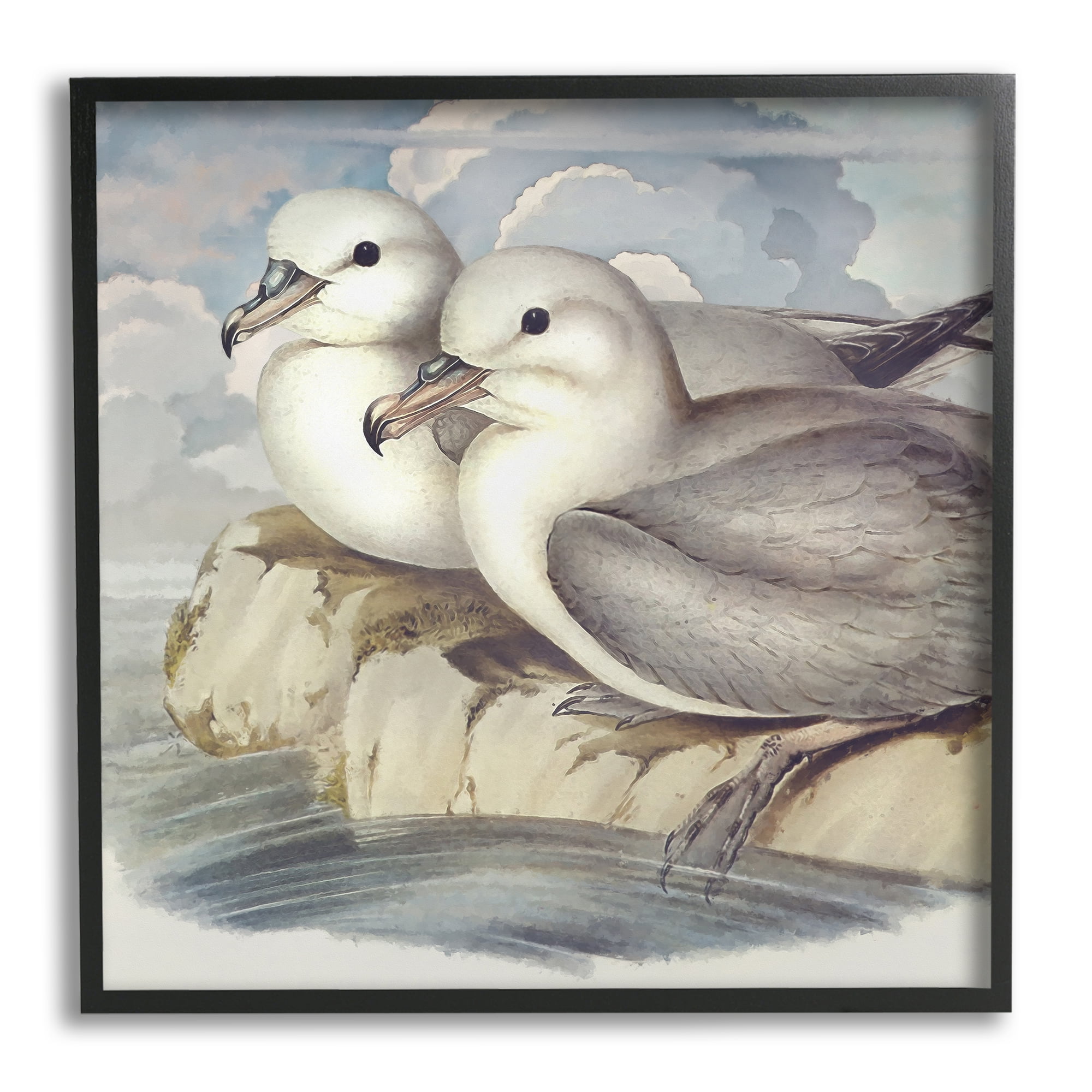 Seagull Couple Perched Coastal Water Resting Birds Animals & Insects Framed Art Print Wall Art, 17x17
