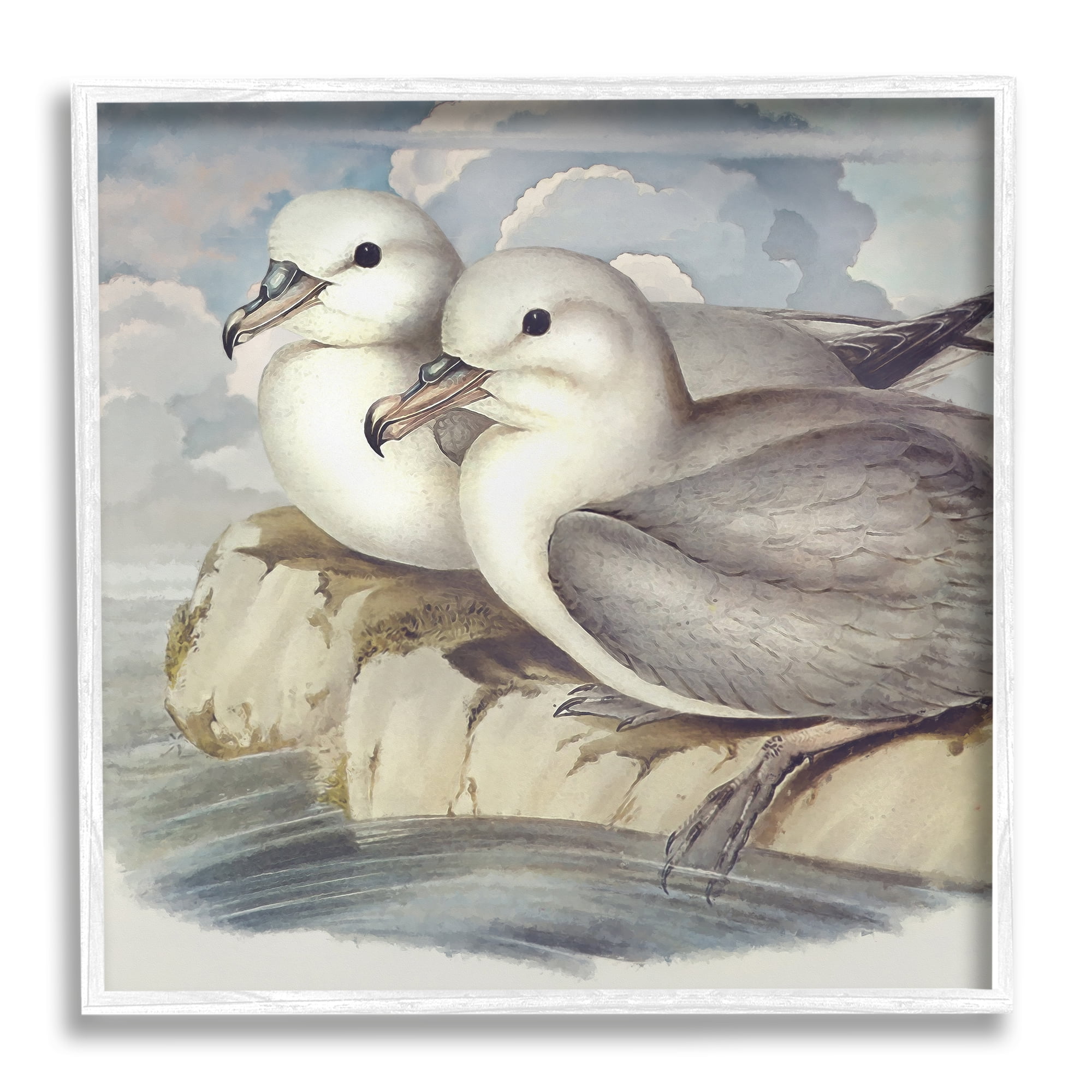 Seagull Couple Perched Coastal Water Resting Birds Animals & Insects Framed Art Print Wall Art, 17x17