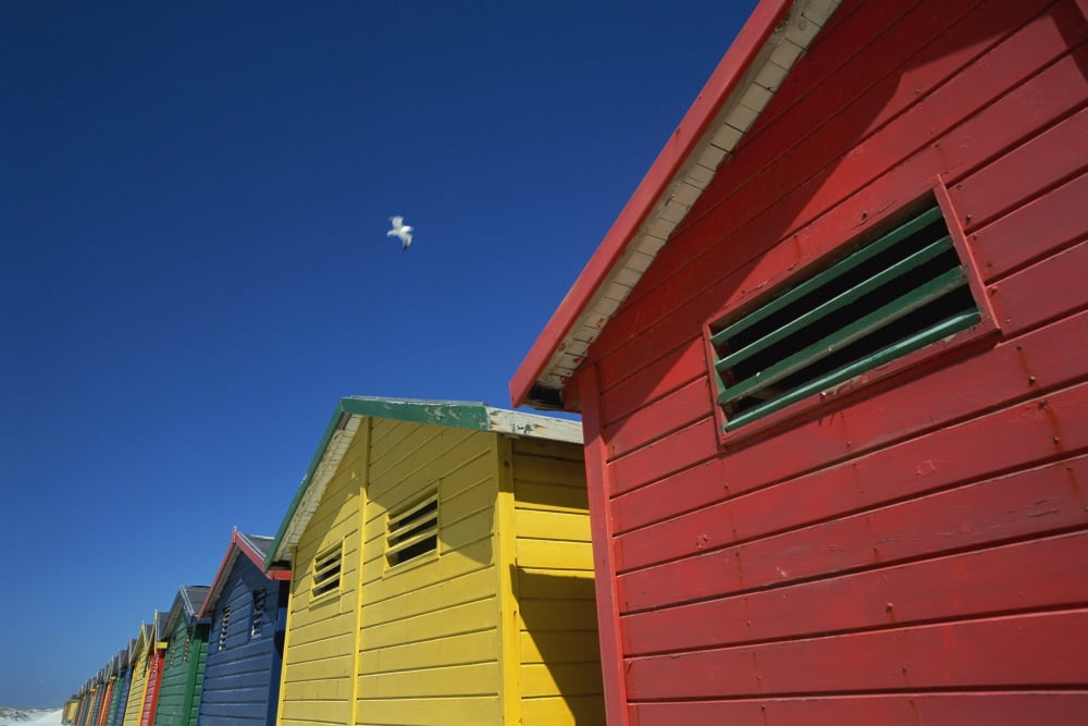 Seagull Flying Over Colorful Beach Huts Canvas Art - Ian Cumming Design Pics (19 x 12)