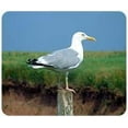 thumbnail image 1 of Seagull Mousepad, 1 of 1