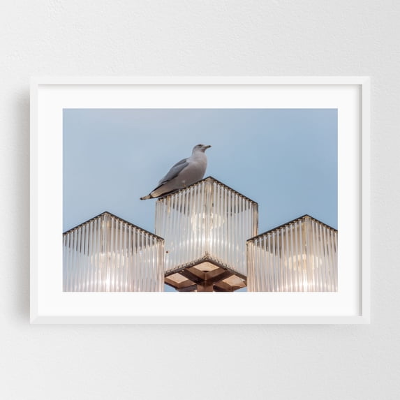 Seagull Sentinel - Baltimore Maryland Photography Bird Minimalist Animal Architecture Geometric Modern Art Skyline White Framed Wall Art Print 5 x 7 inches