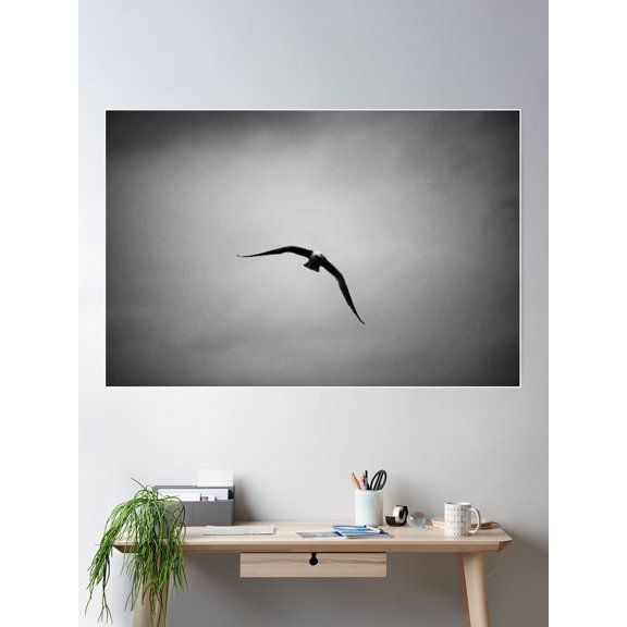 Seagull Sequence 3 Of 4 Poster Wall Art, Modern Wall Decor For Living Room Bedroom, 24x36 UNFRAMED