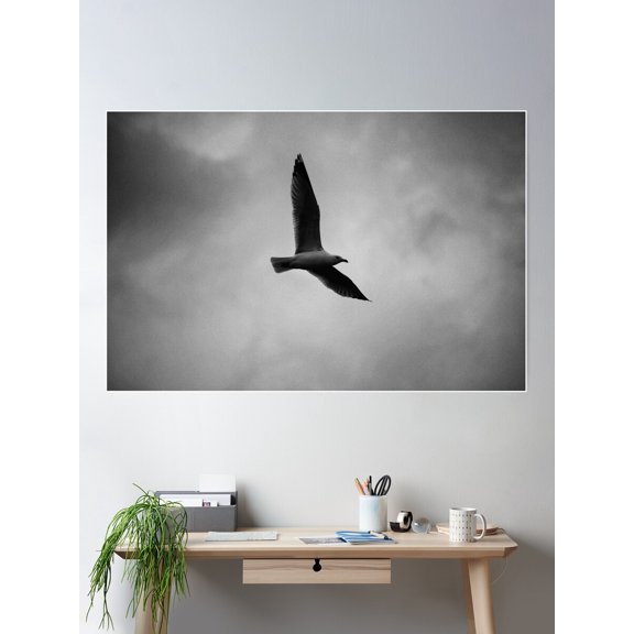 Seagull Sequence 4 Of 4 Poster Wall Art, Modern Wall Decor For Living Room Bedroom, 8x12 UNFRAMED