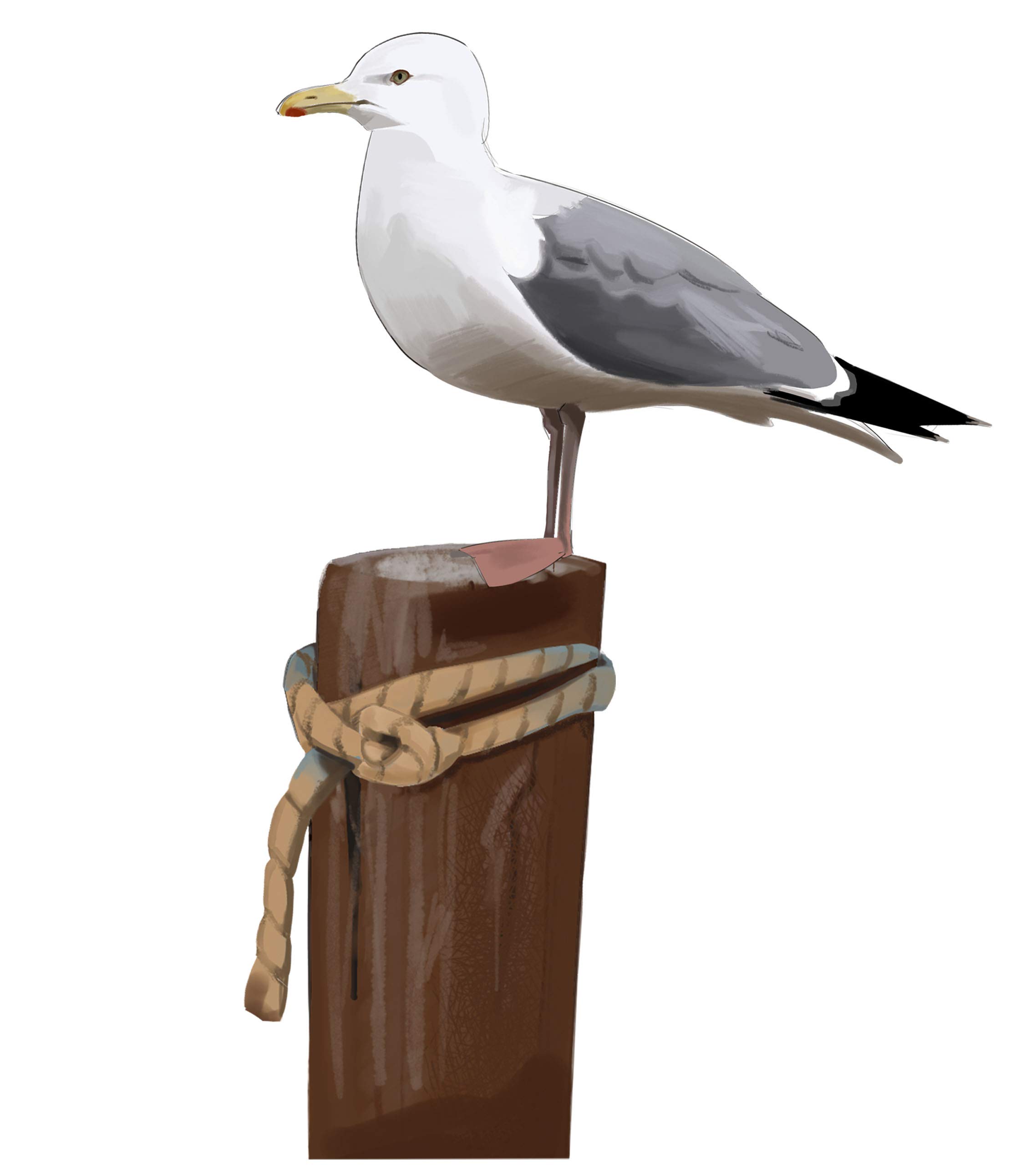 Seagull Wall Art Decor Decals Beach Scene Stickers Flock of Flying Birds Coastal Vinyl Living