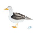 thumbnail image 1 of Seagull on White Poster Print by Julie DeRice, 1 of 1