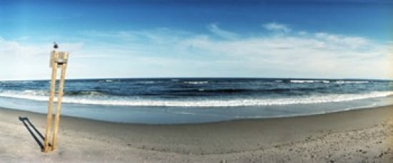Seagull standing on a wooden post at Fort Tilden Beach Queens New York City New York State USA Canvas Art - Panoramic Images (30 x 13)