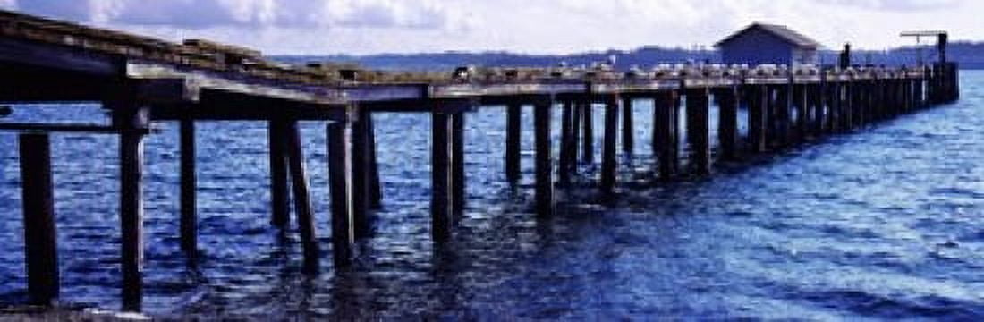 Seagulls on a pier Whidbey Island Island County Washington State USA Canvas Art - Panoramic Images (18 x 6)