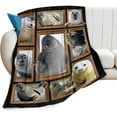 thumbnail image 1 of Seal Blanket Gift for Women Women Ultra Soft Cozy Fleece Ocean Sea Life Blankets Fuzzy Plush Bedding Blanket for Bed Users Adults 50"x40", 1 of 7