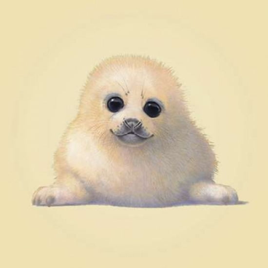 Seal Canvas Art - John Butler (24 x 24)