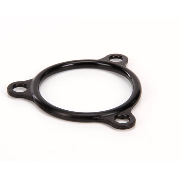 Champion - Moyer Diebel Seal, Electric Heater Flange 109985 - Genuine OEM Replacement Part