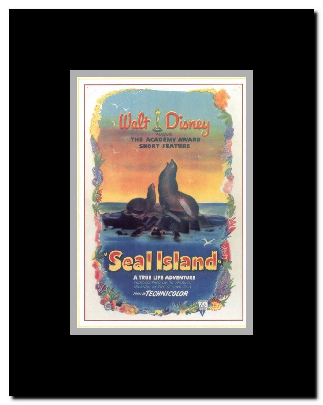Seal Island Framed Movie Poster