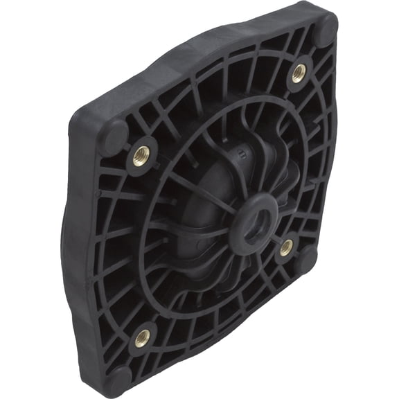 Seal Plate, Pentair StaRite SuperMax, Black