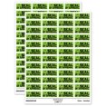 thumbnail image 1 of Seal of Approval Teacher Student School Sticker Set - Light Green - Gloss Finish - 1.25" Mini, 1 of 7