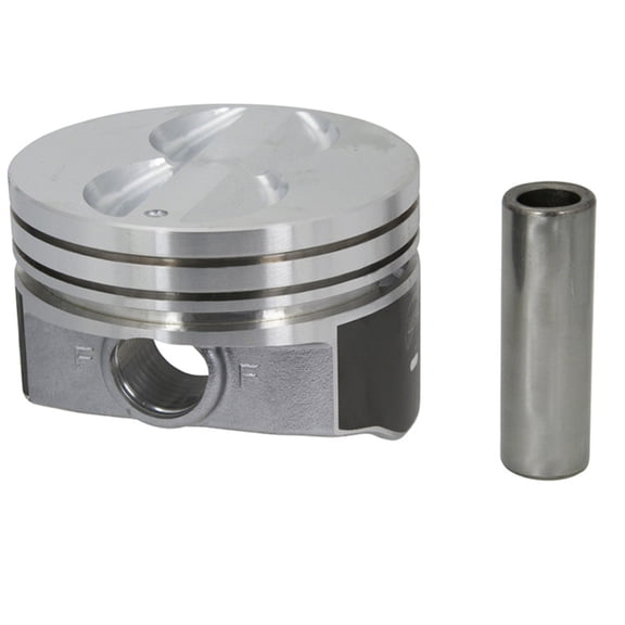 Sealed Power H345DCP 60 Cast Piston (Carton of 8) Fits select: 1967-1970 CHEVROLET CAMARO, 1968-1969 CHEVROLET CHEVELLE