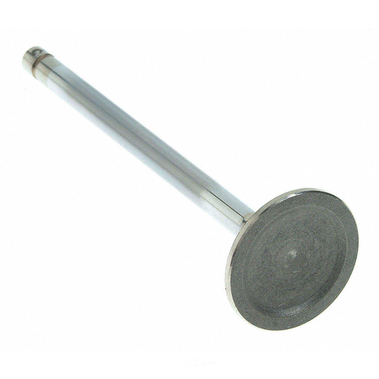 Sealed Power V-2442 Engine Exhaust Valve