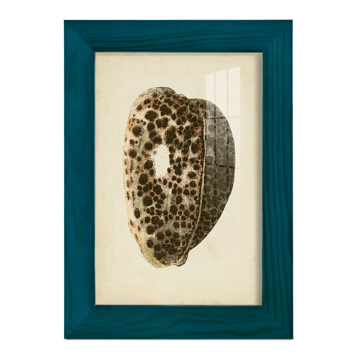 Sealife Collection III - Framed Print w/glass - Ocean Blue