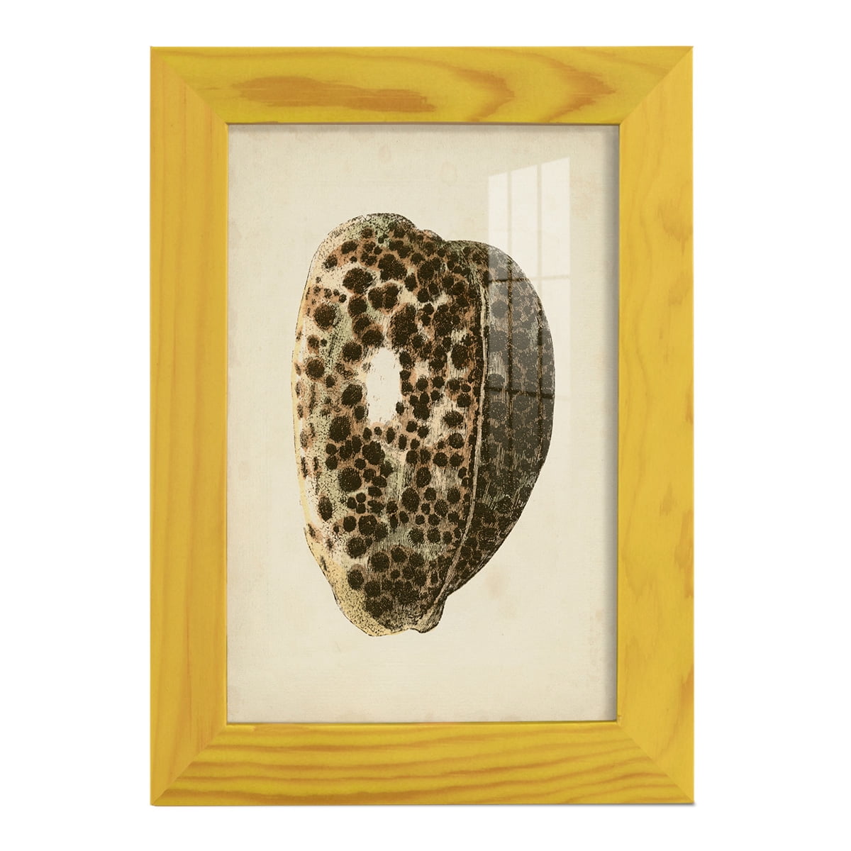 Sealife Collection III - Framed Print w/glass - Sunflower Yellow
