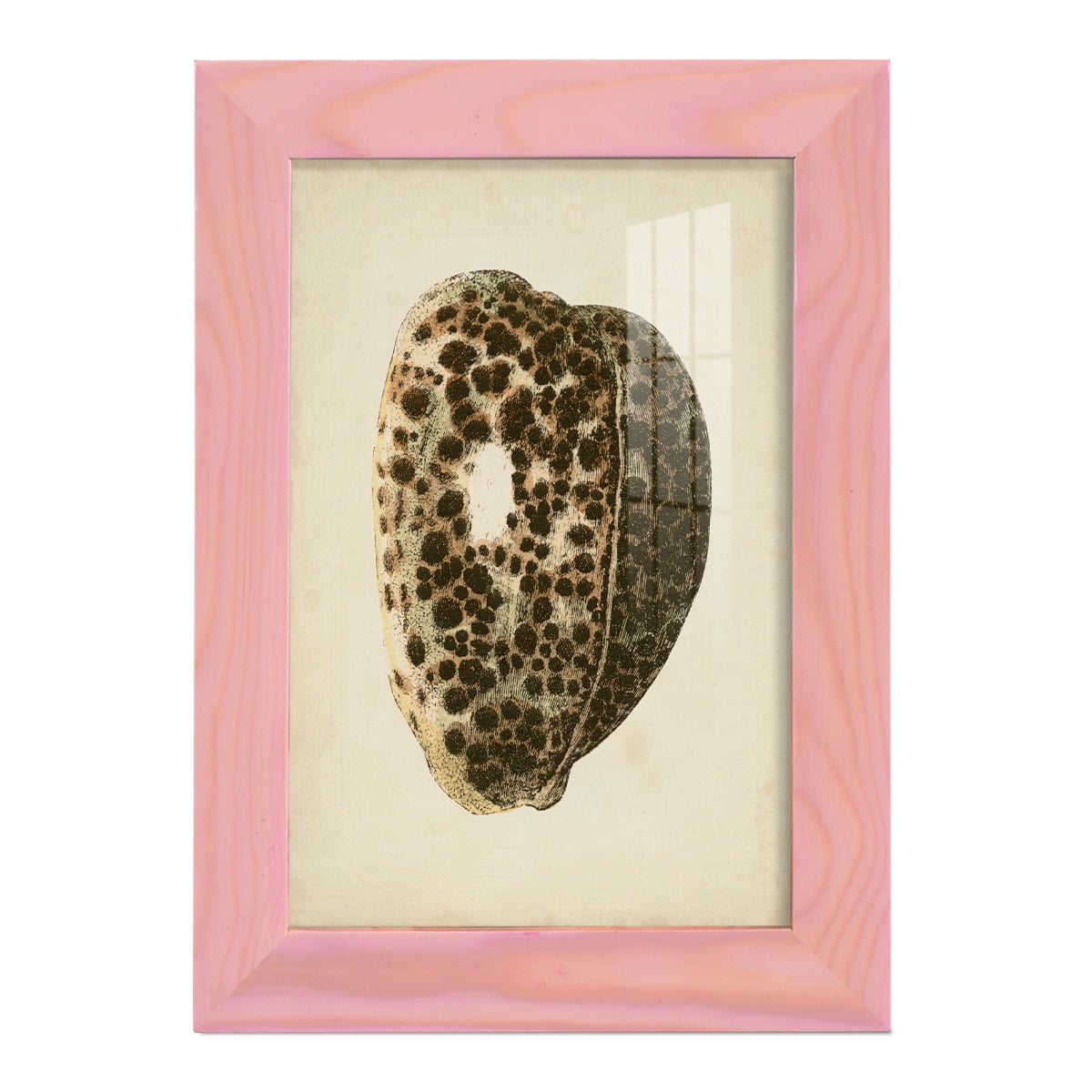 Sealife Collection III - Framed Print w/glass - Sunset Pink