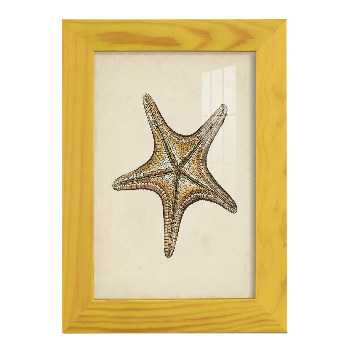Sealife Collection IV - Framed Print w/glass - Sunflower Yellow