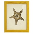 thumbnail image 1 of Sealife Collection IV - Framed Print w/glass - Sunflower Yellow, 1 of 7