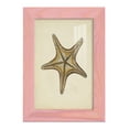 thumbnail image 1 of Sealife Collection IV - Framed Print w/glass - Sunset Pink, 1 of 8