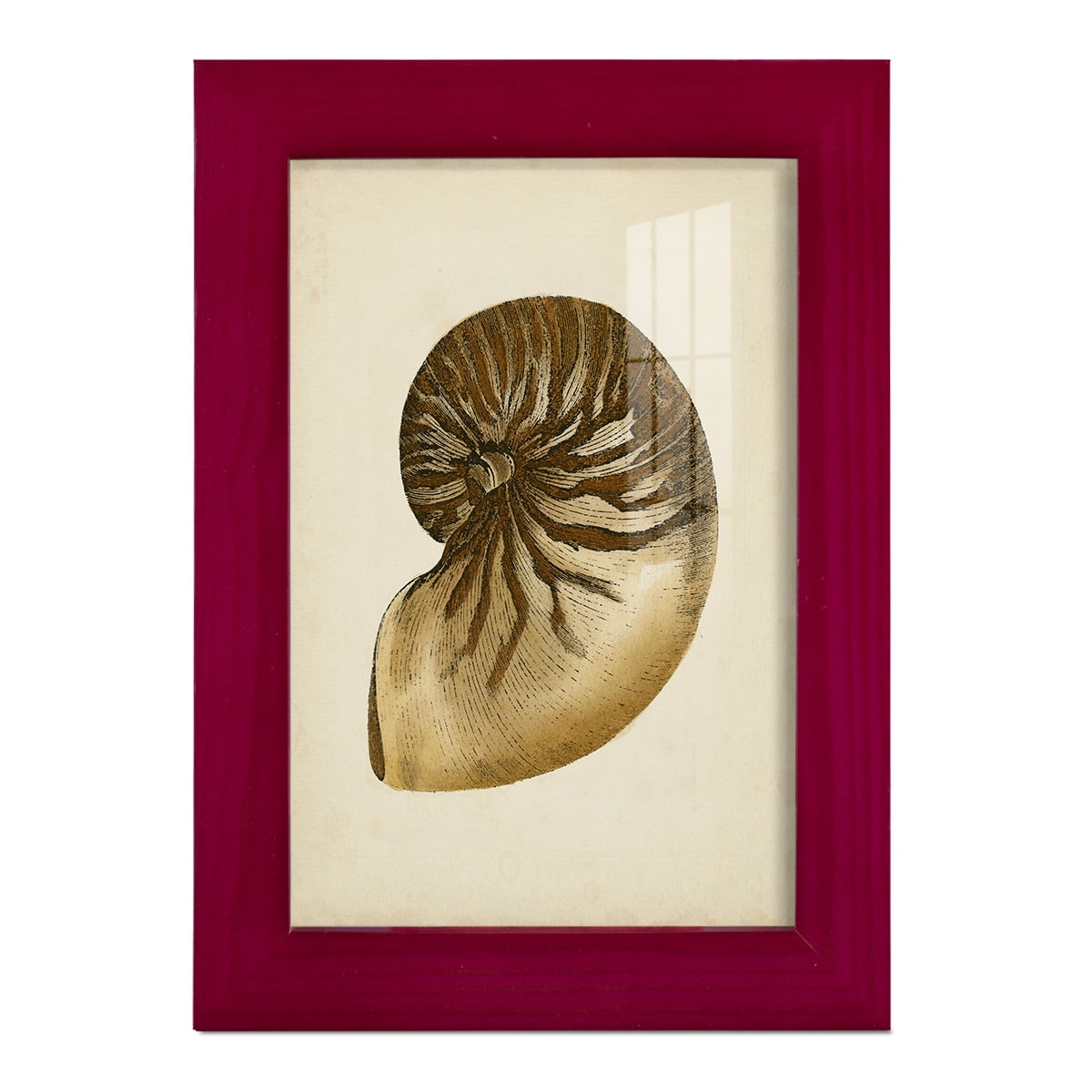 Sealife Collection V - Framed Print w/glass - Cherry Red