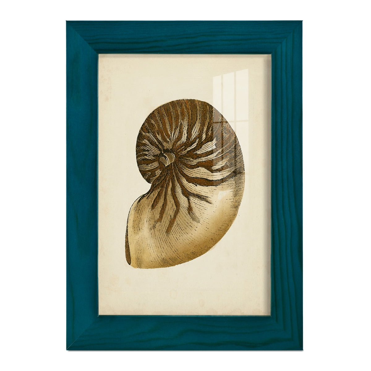 Sealife Collection V - Framed Print w/glass - Ocean Blue