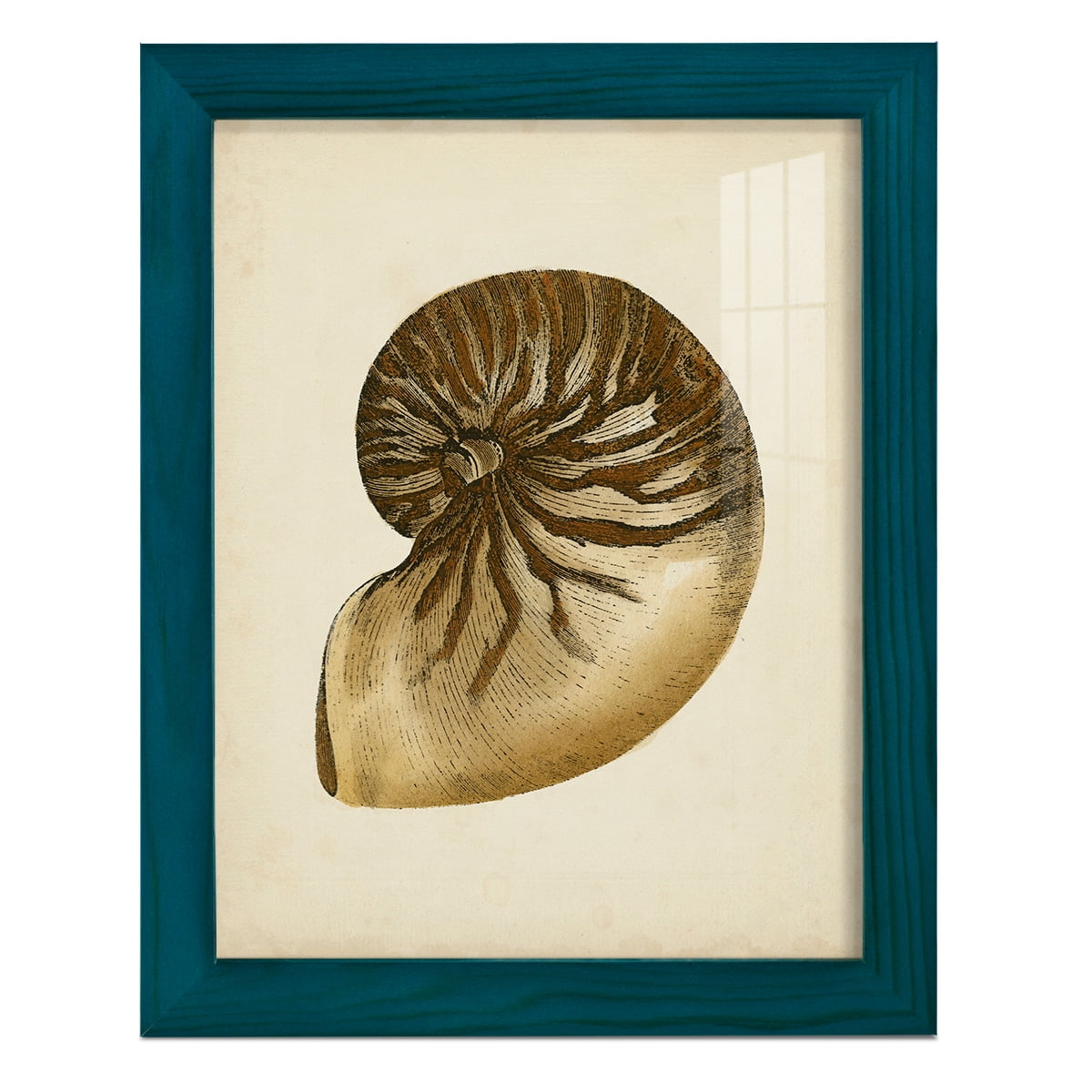 Sealife Collection V - Framed Print w/glass - Ocean Blue