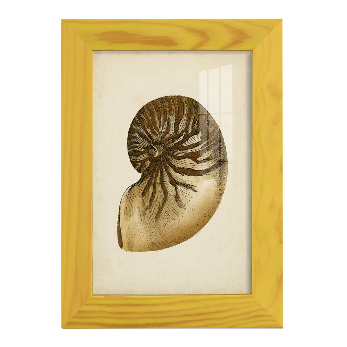 Sealife Collection V - Framed Print w/glass - Sunflower Yellow