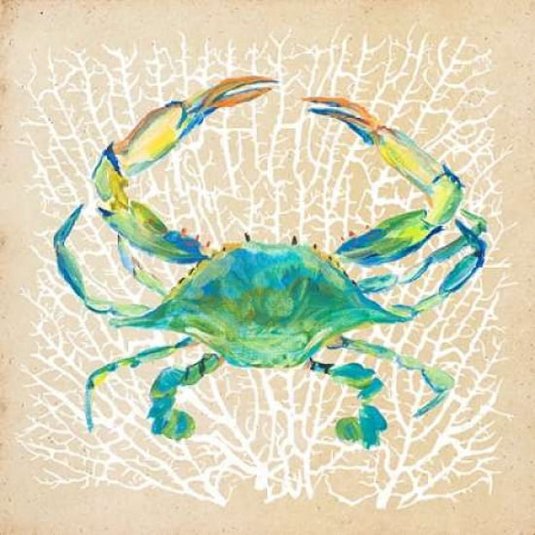 Sealife Crab Canvas Art - Julie DeRice (24 x 24)