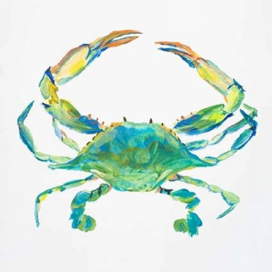 Sealife IV Canvas Art - Julie DeRice (24 x 24)