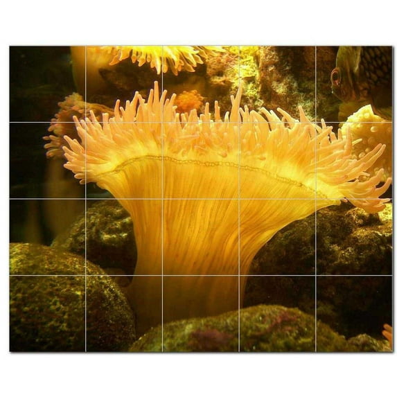 Sealife Photo Ceramic Tile Mural Kitchen Backsplash Bathroom Shower, 405777-S54