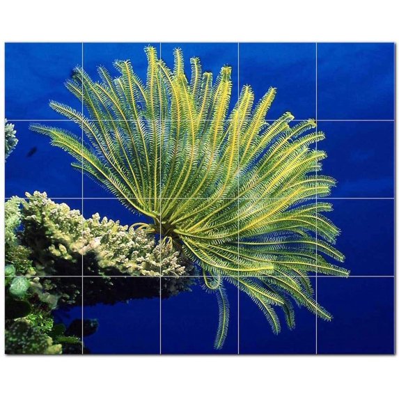 Sealife Photo Ceramic Tile Mural Kitchen Backsplash Bathroom Shower, 405789-M54