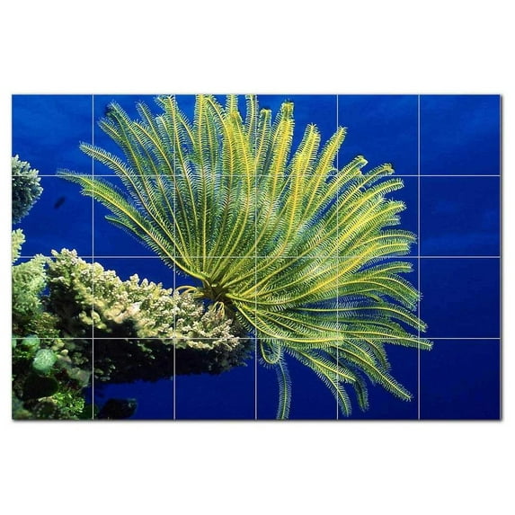 Sealife Photo Ceramic Tile Mural Kitchen Backsplash Bathroom Shower, 405789-M64