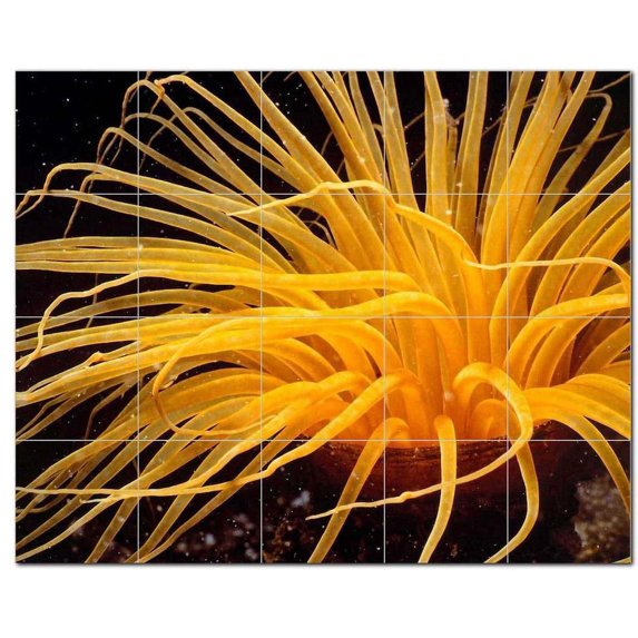 Sealife Picture Ceramic Tile Mural Kitchen Backsplash Bathroom Shower, 405813-M5
