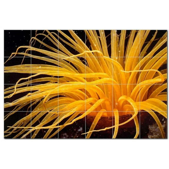 Sealife Picture Ceramic Tile Mural Kitchen Backsplash Bathroom Shower, 405813-S6