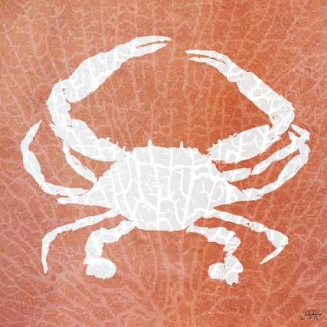 Sealife on Coral IV Canvas Art - Julie DeRice (24 x 24)