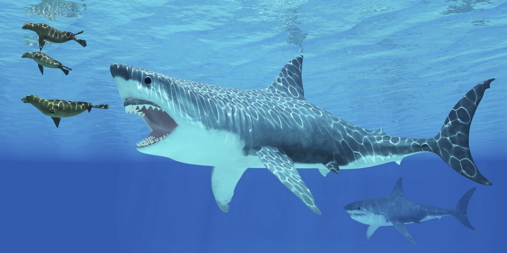 Seals race to get away from a giant Megalodon shark Canvas Art - Corey FordStocktrek Images (20 x 10)