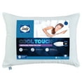 Sealy Cool Touch Pillow